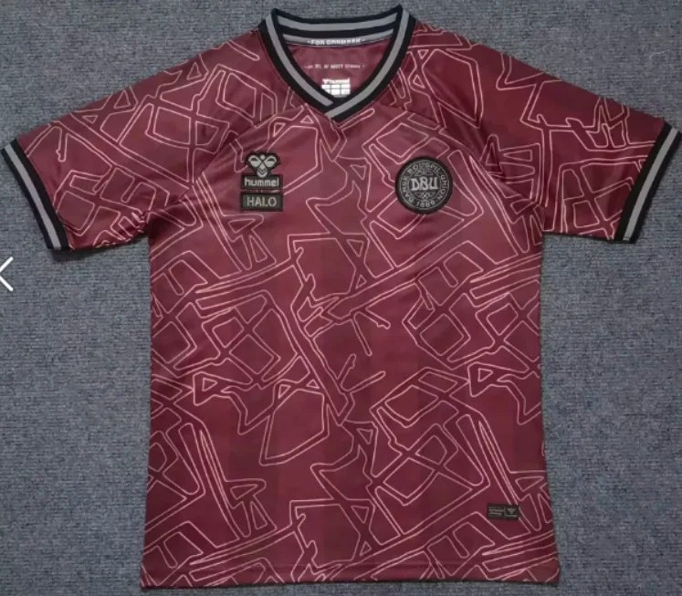 2024/2025 Denmark National Team Special Edition Football Shirt  — main view