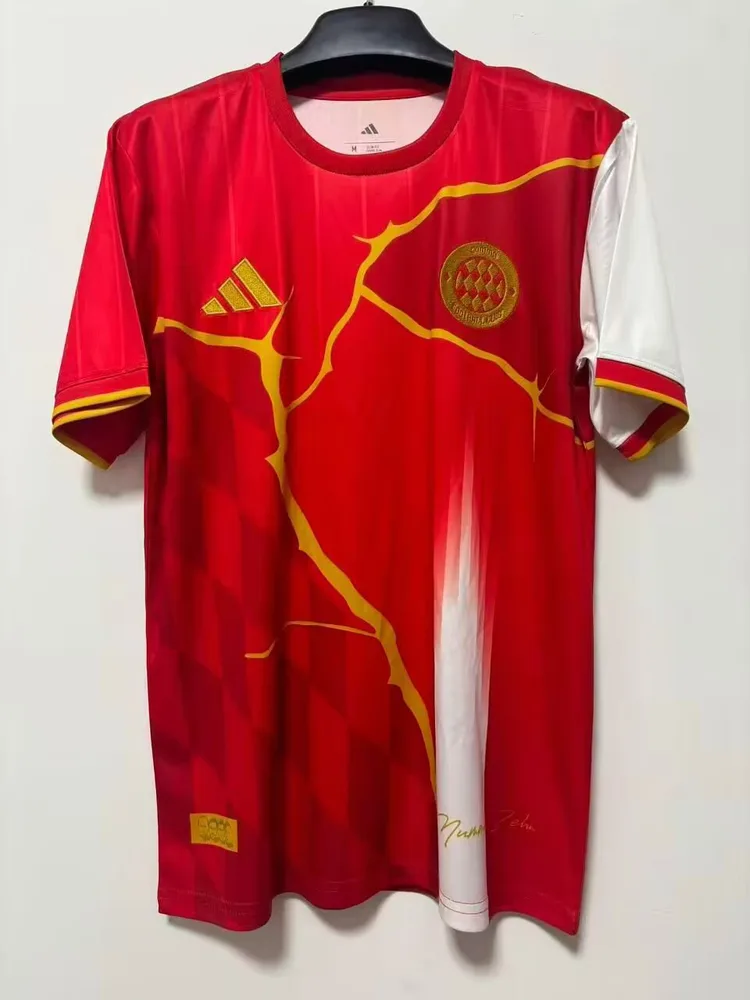 2025/2026 Bayern Munich Maillot de Football Édition Spéciale  — main view