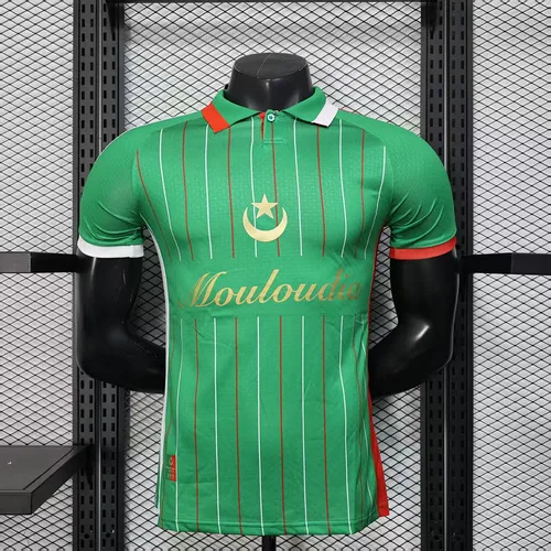 2025/2026 Versión Jugador Camiseta de Fútbol Edición Especial Palestina Verde Calidad Thai — main view
