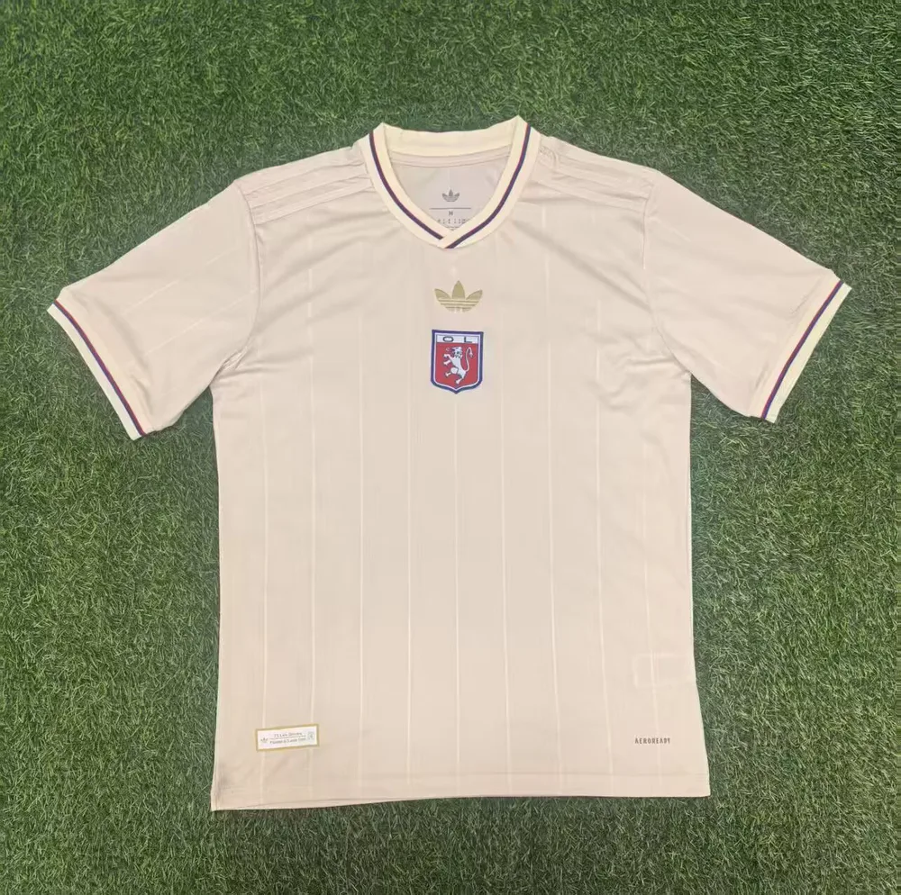 2025/2026 Lyonnais Édition Anniversaire Maillot de Football  — main view