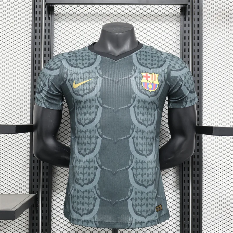 2024/2025 Barcelona Player Version Special Edition Jersey 002  — main view