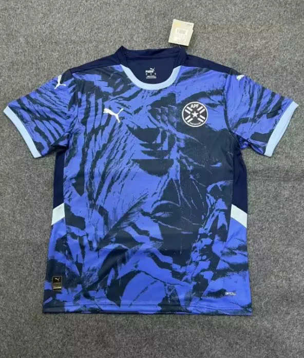 2024 Paraguay Nationalmannschaft Auswärts Fußballtrikot AAA Fan-Qualität — main view