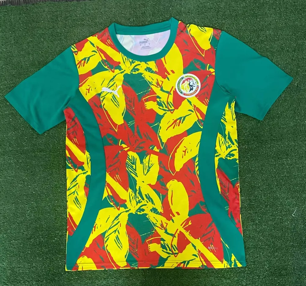 2024/2025 Camisa de Futebol Treino Seleção Senegal AAA qualidade fã — main view