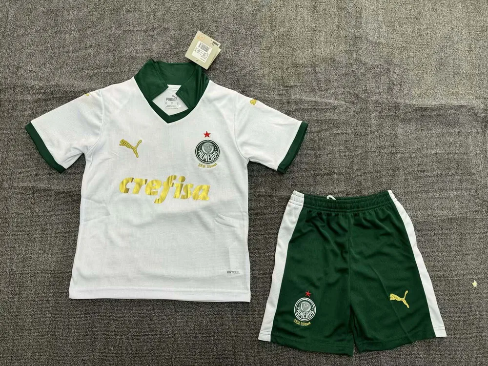 Maillot Extérieur Palmeiras 2024/2025  Taille Enfant — main view