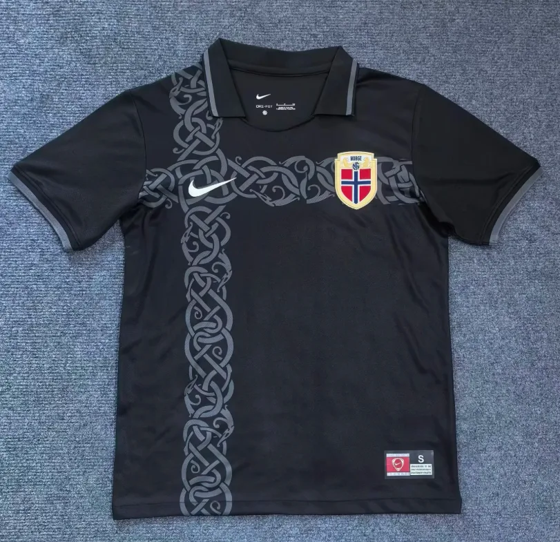 2025/2026 Norvège Équipe Nationale Maillot de Football Édition Spéciale  — main view