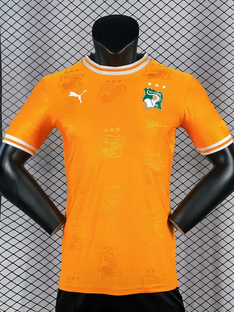 2025/2026 Spielerversion Elfenbeinküste Nationalmannschaft Heim Fußballtrikot  — main view