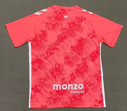 2025/2026 Coventry City Equipación Visitante Camiseta de Fútbol  — view 2