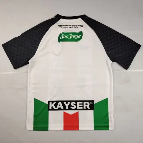 2025/2026 Palästina Sonderedition Fußballtrikot  — view 2