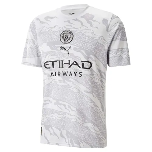2023/2024 Manchester City Edición Especial Gris Camiseta  — view 1