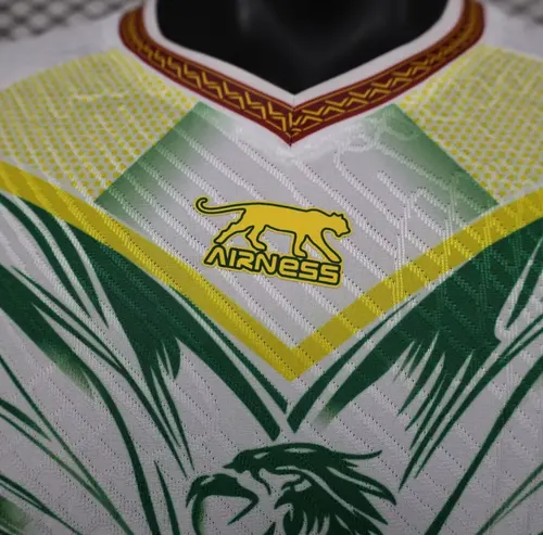 2025/2026 Player Version Mali Home Fußballtrikot  — view 4