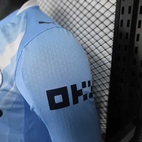 2025/2026 Long Sleeve Player Version Manchester City Home Football Shirt  — view 8