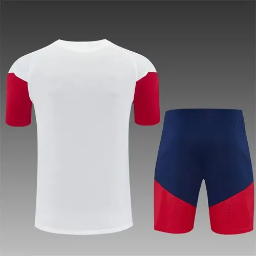 2026 Spain National Team Training Suit Special Edition White Football Jersey   — view 2
