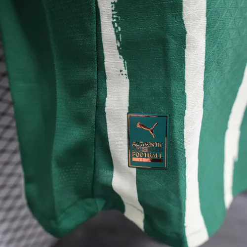 2025/2026 Version Joueur Palmeiras Domicile Vert Maillot de Football  — view 10