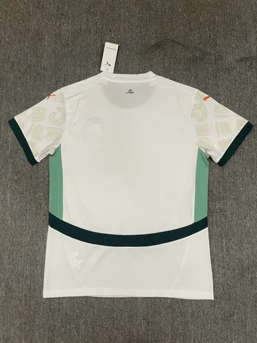 2025/2026 Lvory Coast National Team Away Football Shirt  — view 2