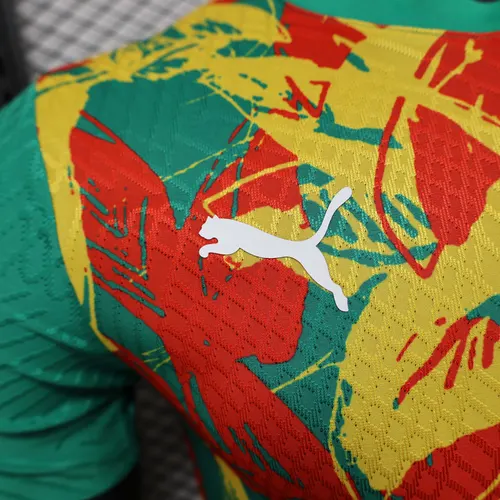 2024/2025 Versão Jogador Camisa de Futebol Treino Seleção Senegal AAA qualidade fã — view 4