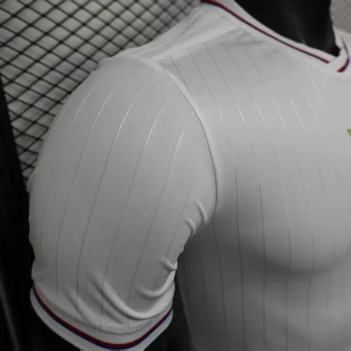 2025/2026 Spielerversion Lyon Jubiläumsausgabe Fußballtrikot  — view 5