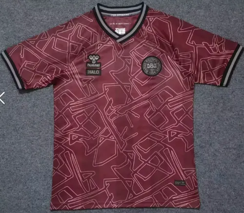 2024/2025 Denmark National Team Special Edition Football Shirt 
