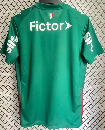 2026/2027 Palmeiras Home (Version Publicitaire) Maillot de Football   — view 2