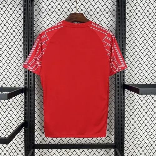 2025/2026 Paris Saint-Germain red goalkeeper Football Jersey  — view 2