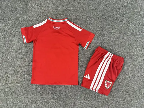 2026 Wales National Team Home Football Shirt   Kids Size — view 2