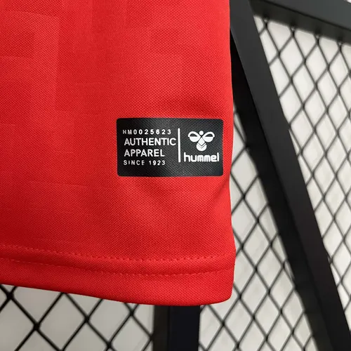Maillot Domicile Équipe Nationale Danemark 2024  — view 10