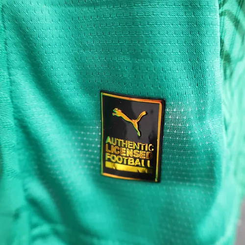 2025/2026 Player Version Senegal National Team Home Football Shirt  — view 10