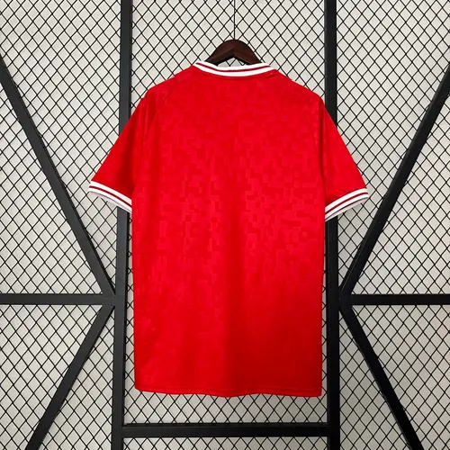Maillot Domicile Équipe Nationale Danemark 2024  — view 2