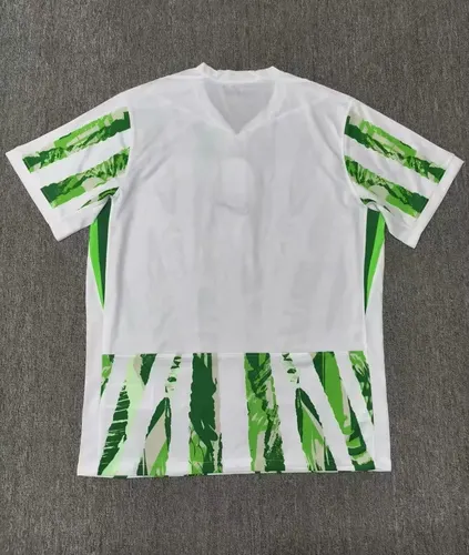 2025/2026 Nigeria National Team Home Football Shirt  — view 2