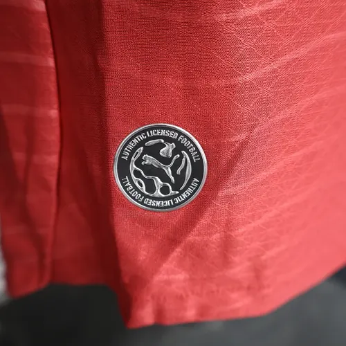 2026 Version Joueur Maillot Domicile Portugal AAA qualité fan — view 7