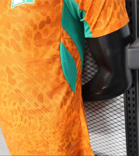 Camisa de Futebol Casa Versão Jogador da Seleção da Costa do Marfim 2026   — view 9