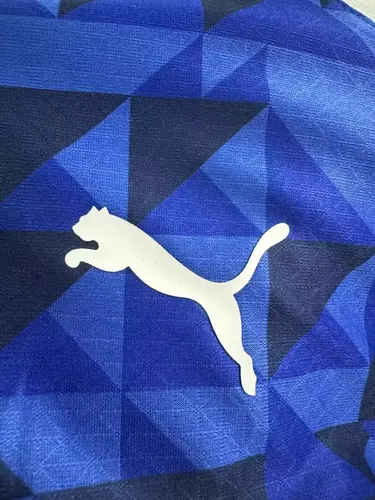 2024/2025 Spielerversion Al-Hilal Saudi Heimtrikot  — view 5
