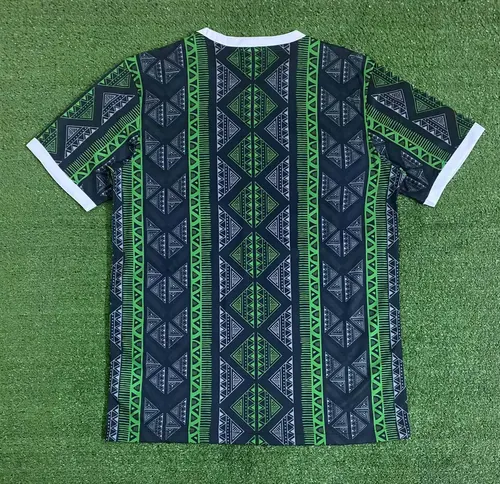 2023 Nigeria National Team Special Edition Green Football Shirt  — view 2