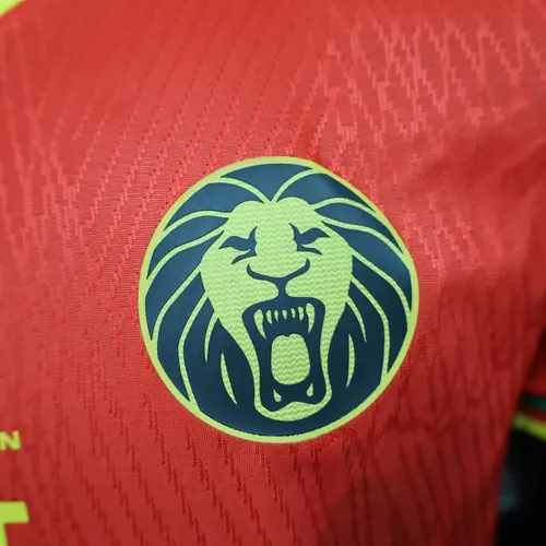 2025/2026 قميص منتخب الكاميرون الخارجي نسخة اللاعب جودة تايلاندية — view 5