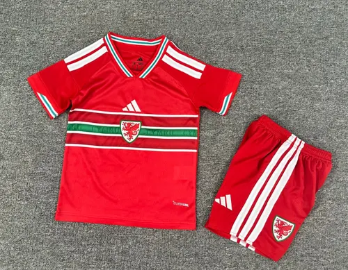 Maillot Domicile Pays de Galles 2026 landaise Taille Enfant
