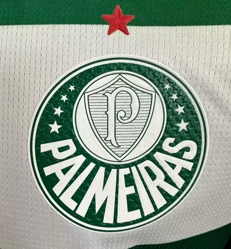 2025/2026 Player Version Palmeiras Commemorative Edition Football Jersey  — view 5