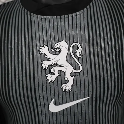 2025/2026 Versión Jugador Países Bajos Selección Nacional Portero Camiseta de Fútbol  — view 9