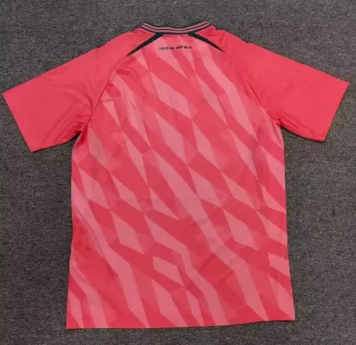 2026/2027 Camiseta de Fútbol Tercera Equipación Visitante Werder Bremen   — view 2