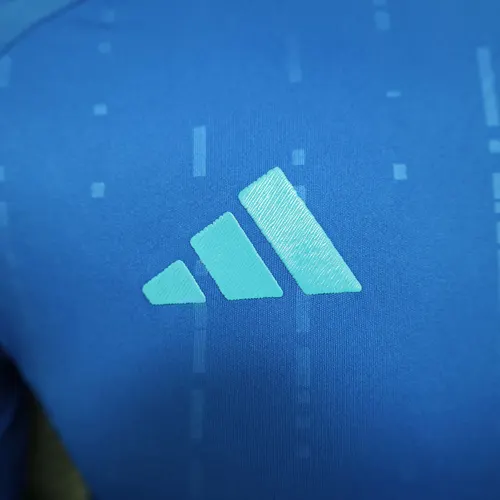 2024 Spielerversion Argentinien Auswärts-Fußballtrikot   — view 4