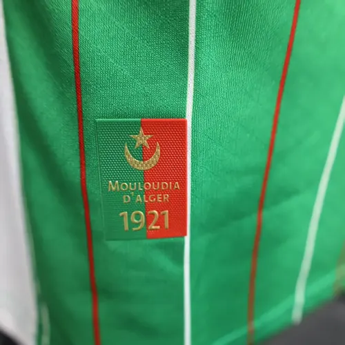 2025/2026 Versión Jugador Camiseta de Fútbol Edición Especial Palestina Verde Calidad Thai — view 9