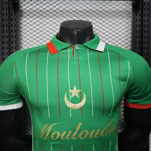 2025/2026 Versión Jugador Camiseta de Fútbol Edición Especial Palestina Verde Calidad Thai — view 3