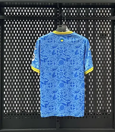 Maillot de football extérieur Third Wolverhampton Wanderers 2025/2026  — view 2