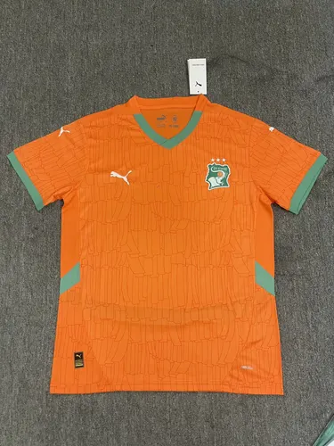 2025/2026 Lvory Coast National Team Home Football Shirt  — view 1