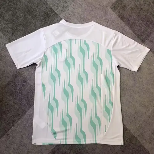 Tenue d'entraînement Palmeiras 2025/2026  — view 2