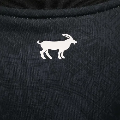 2023 Argentinien Nationale Sonderausgabe Anzug Blau Trikot — view 4