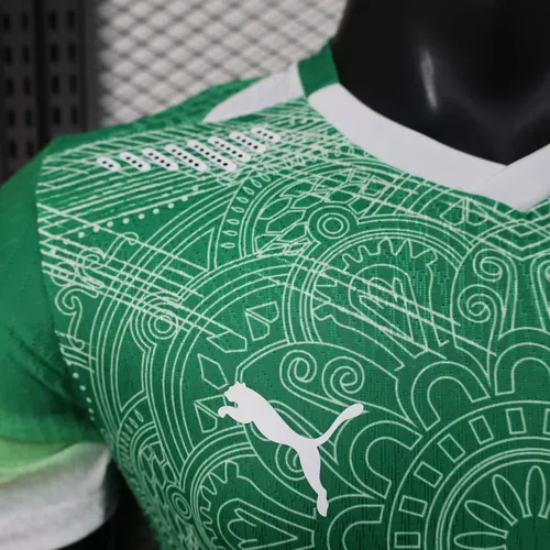 2026 Version Joueur Maillot Édition Spéciale Verte Équipe Nationale de Côte d'Ivoire Football   — view 4