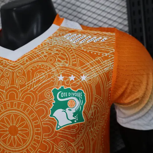 2026 Player Version Ivory Coast National Team Special Edition Orange Football Jersey   — view 5