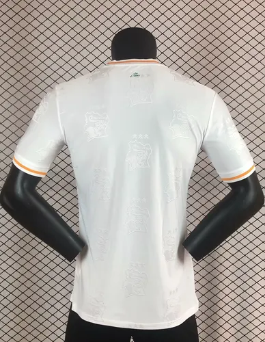 2025/2026 Spielerversion Elfenbeinküste Nationalmannschaft Auswärtsfußballtrikot  — view 2