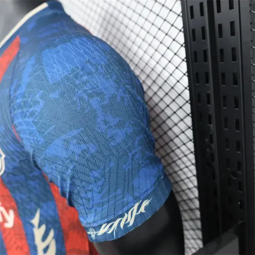 2024/2025 Maillot Version Joueur Édition Spéciale Rayures Barcelona  — view 7