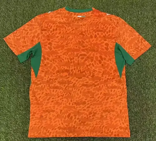 2026 Elfenbeinküste Nationalmannschaft Heim Fußballtrikot   — view 2