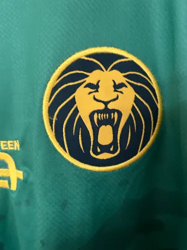 2025/2026 قميص منتخب الكاميرون المنزلي جودة تايلاندية — view 6